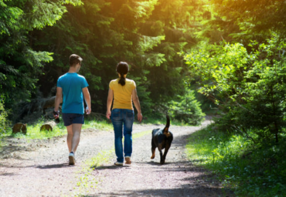 Back view of man and woman walking a dog outdoors.