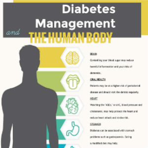 Diabetes Management The Human Body infographic showing a human body silhouette. .