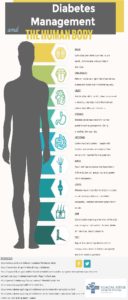 Diabetes Management The Human Body infographic showing a human body silhouette. .