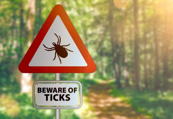 beware of ticks sign