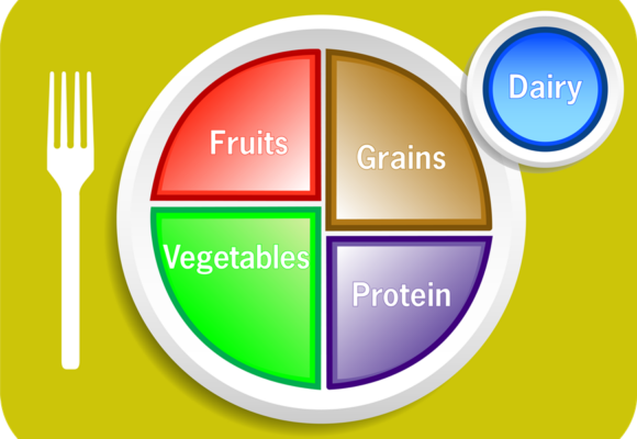 my plate inforgraphic