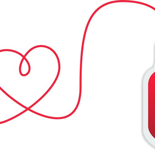 vector illustration for blood donation and a heart