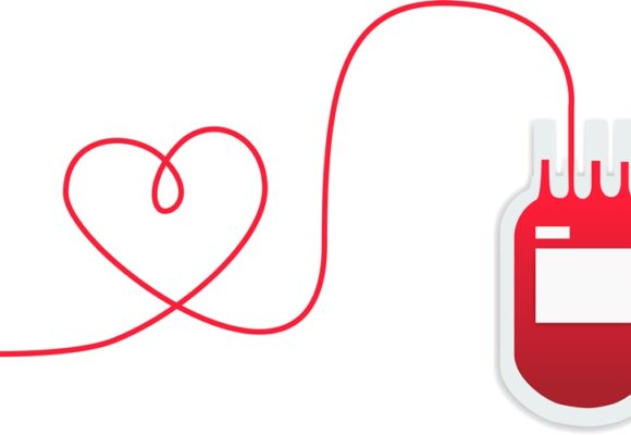 vector illustration for blood donation and a heart