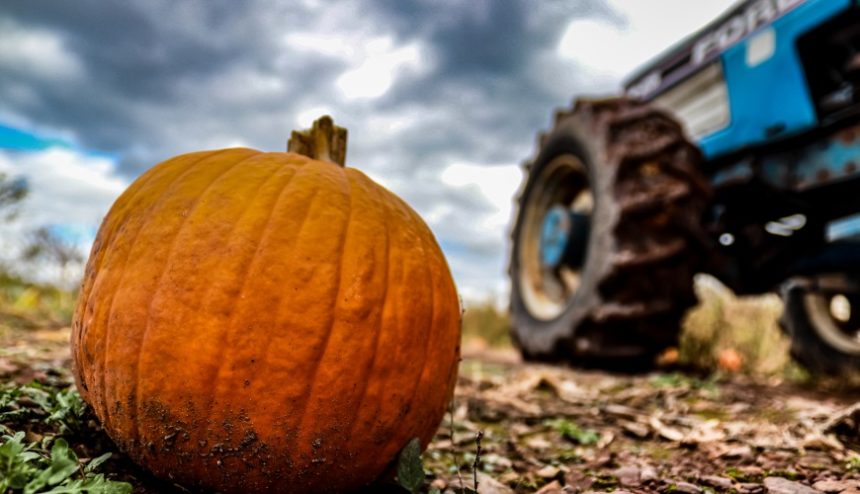 4 Tips Harvested From Farm Safety Week