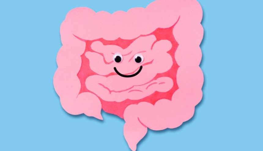 pink and blue graphic of colon