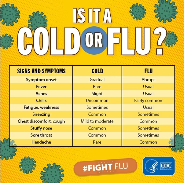 cold flu symptoms infographic