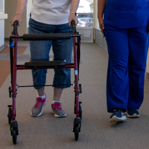 A person with a walker