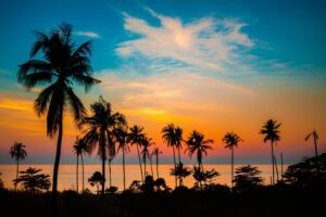 Tropical Paradise Scene of a tropical location, sunset